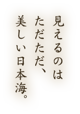 見えるのただただ、美しい日本海。